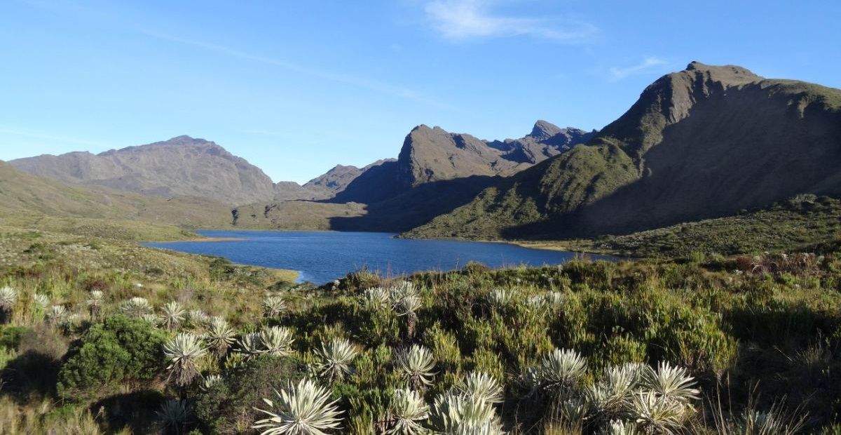 cerro nevado 01