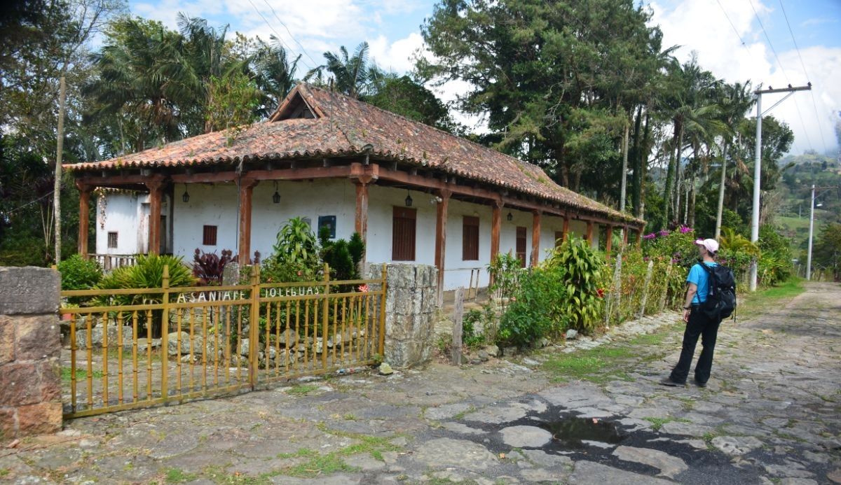 ruta mutis 03