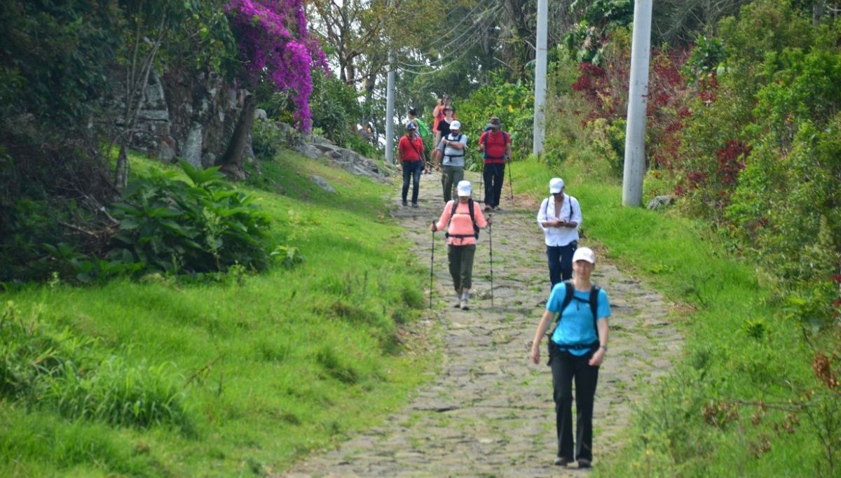 ruta mutis 04