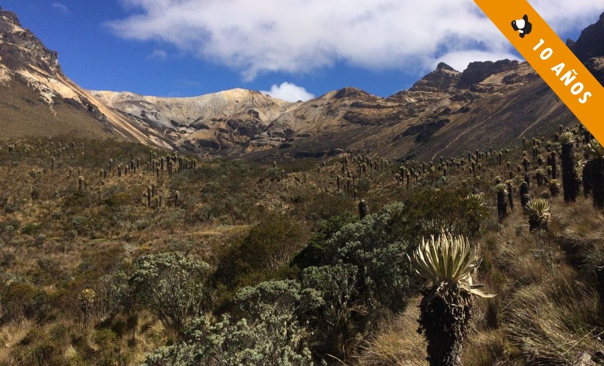 Cresta integral del Paramillo desde el camino que lleva a los Pantanos del Quindío.