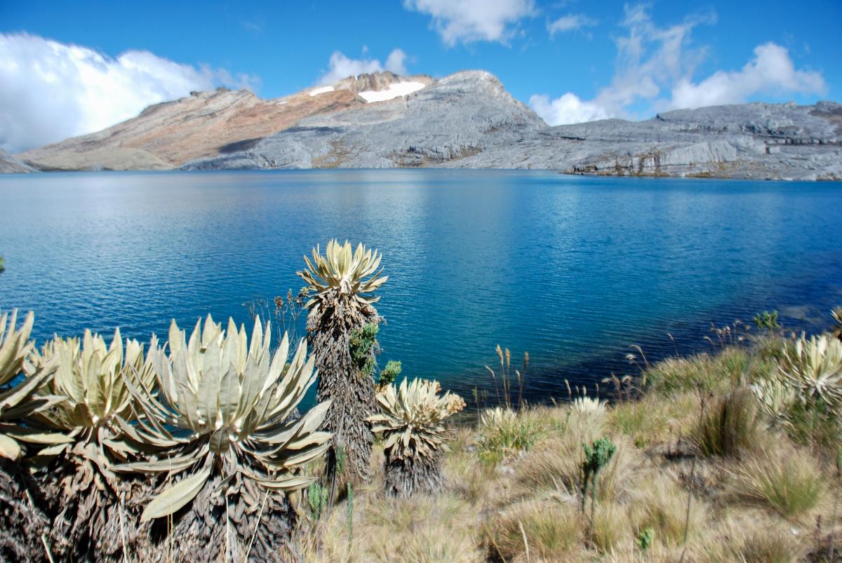 cerros de la plaza 05